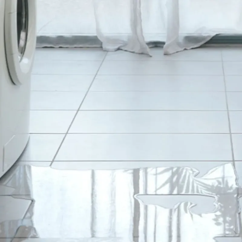Appliance Leak Cleanup in Wabash County, IL