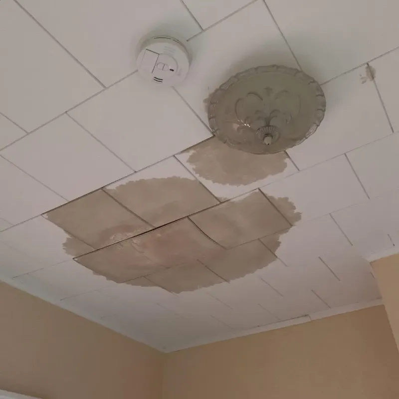 Ceiling Water Damage Repair in Wabash County, IL