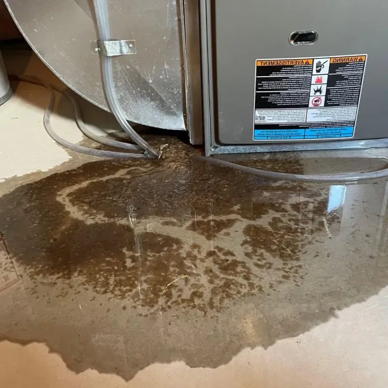 Pipe Burst and Leak Restoration in Wabash County, IL