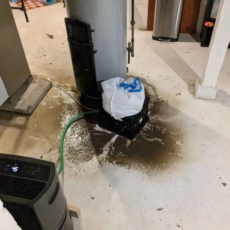 Sewage Backup Cleanup Service in Wabash County, IL